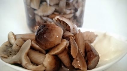 Мариновани медени гъби