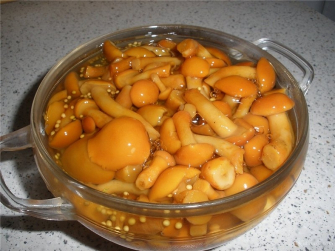 Champignons in gesalzener Butter