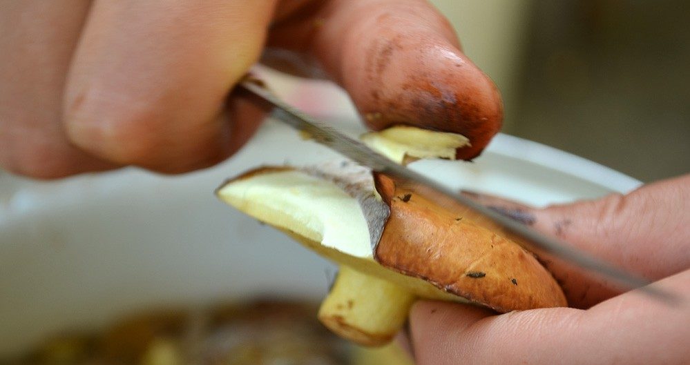 Καθαρισμός μανιταριών βουτύρου