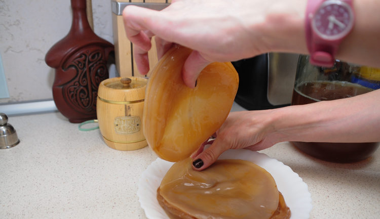 Kombucha