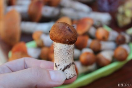 Champignon