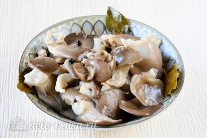 Austernpilze