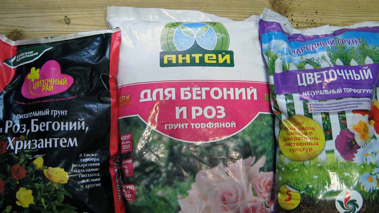 Почва за стайни растения