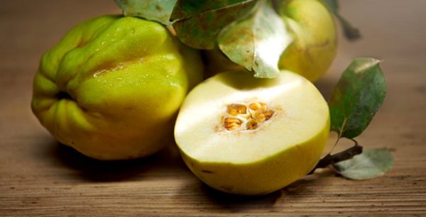japonica