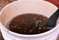 fertilizzanti