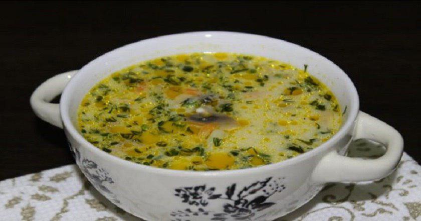 Mistkäfersuppe