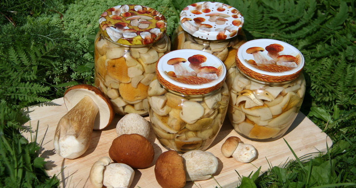 Steinpilze