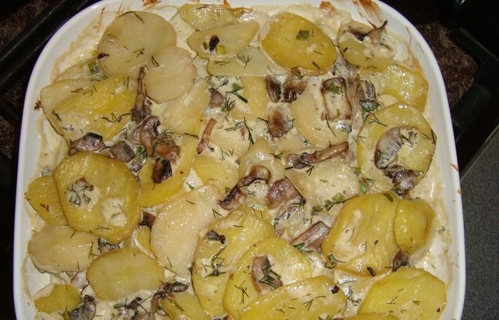 Pommes de terre aux champignons et à la crème fraîche