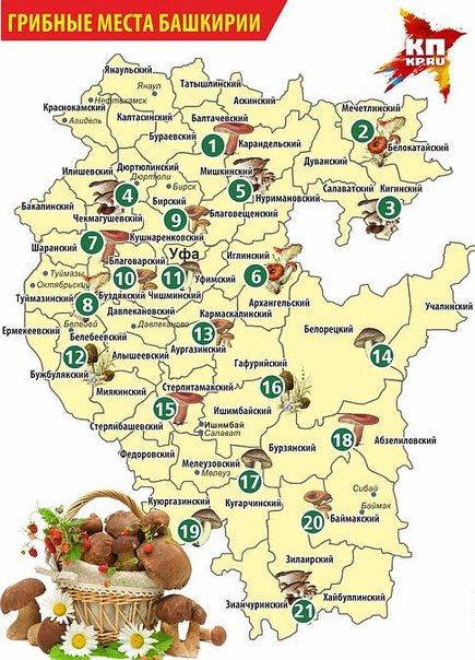 Karte der Pilzstandorte in Baschkirien