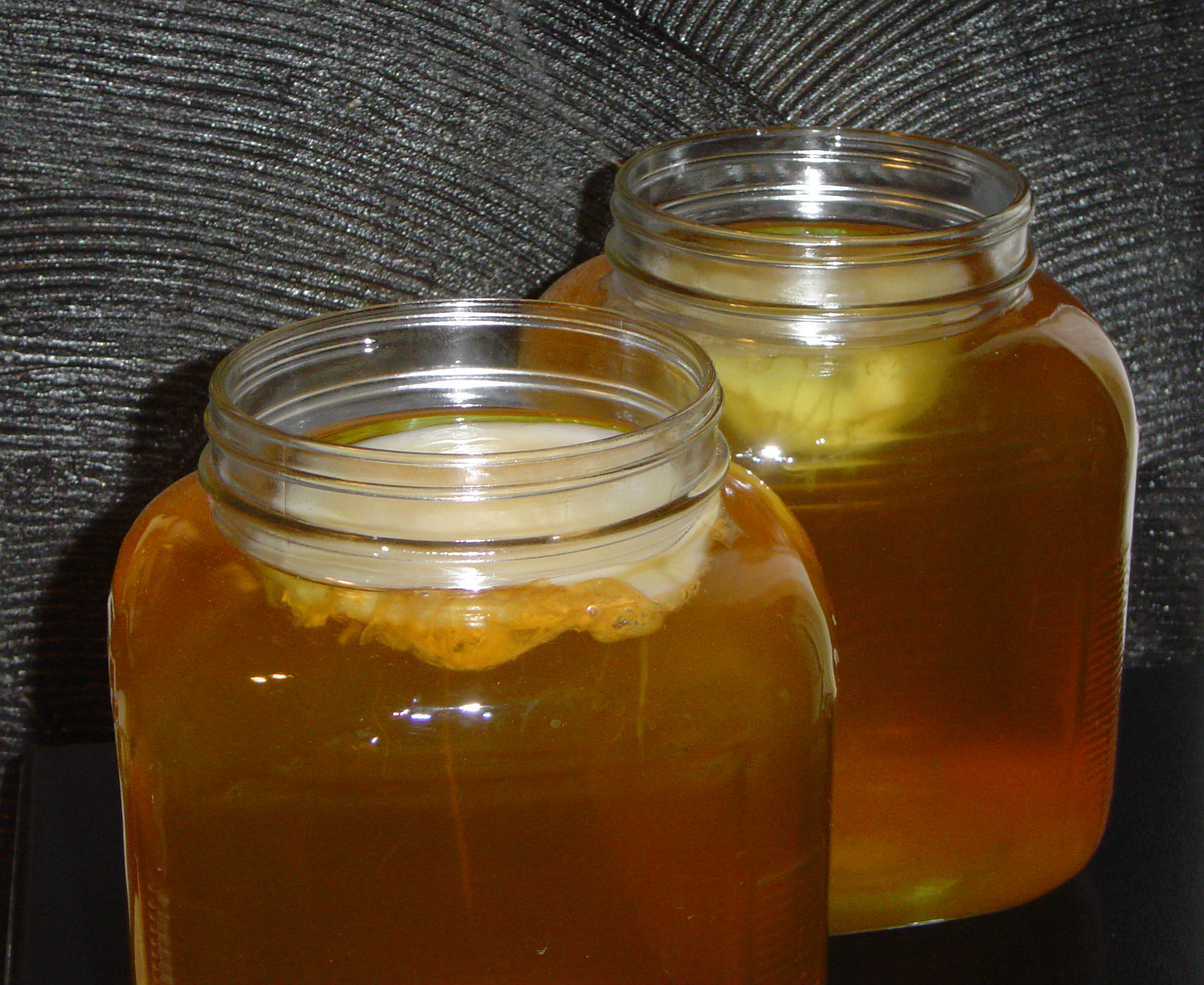 Kombucha