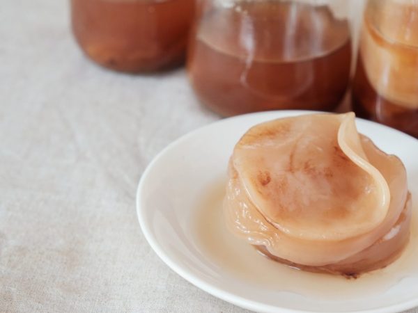 Kombucha