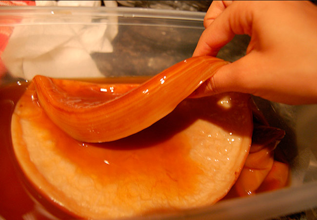 Kombucha
