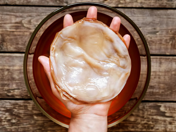 Kombucha