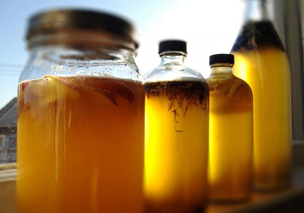 Kombucha