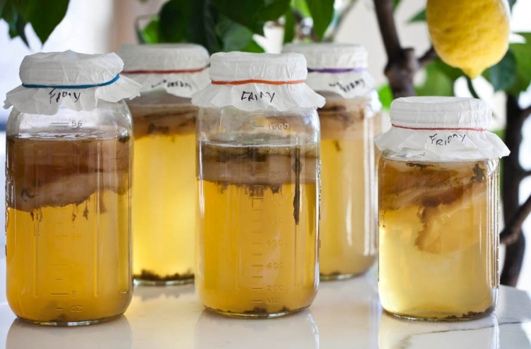 Kombucha à base de jus de pomme
