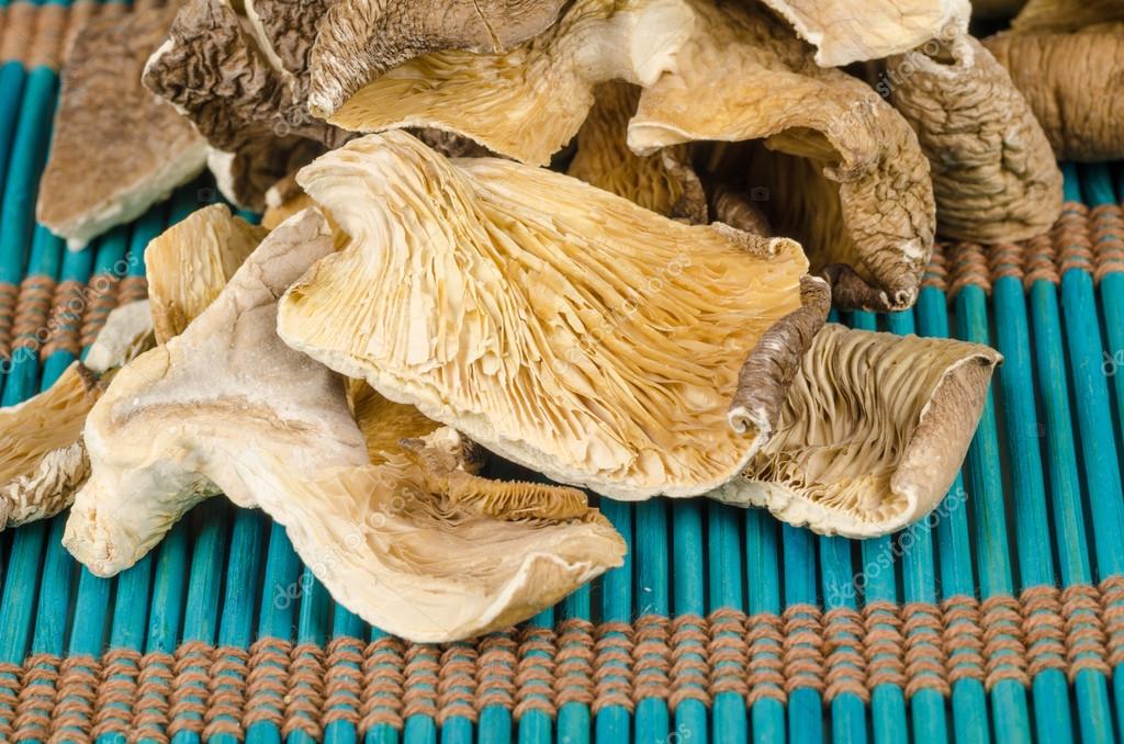 Getrocknete Austernpilze