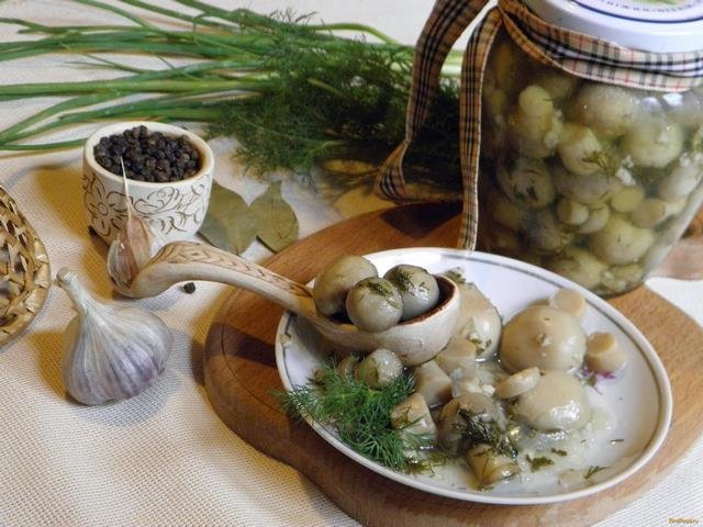 Champignons mit Knoblauch
