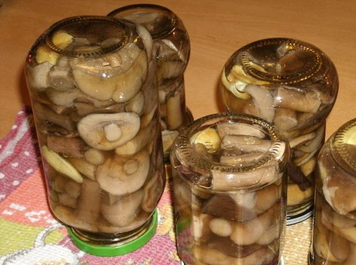 Мариновани гъби от офика