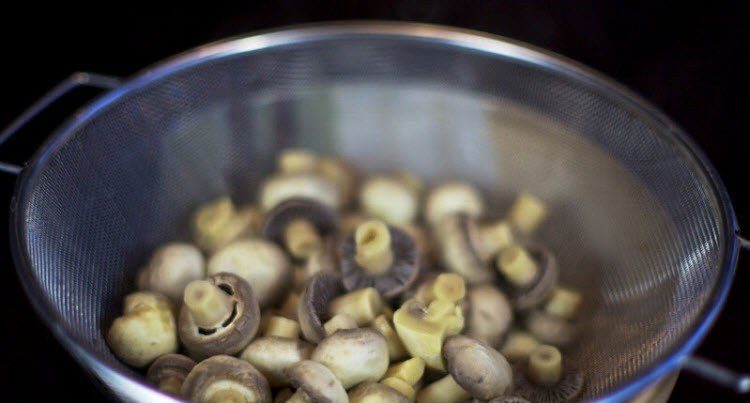 Champignons