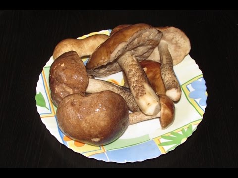 Weißer Champignon