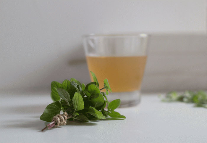 Kombucha aux herbes