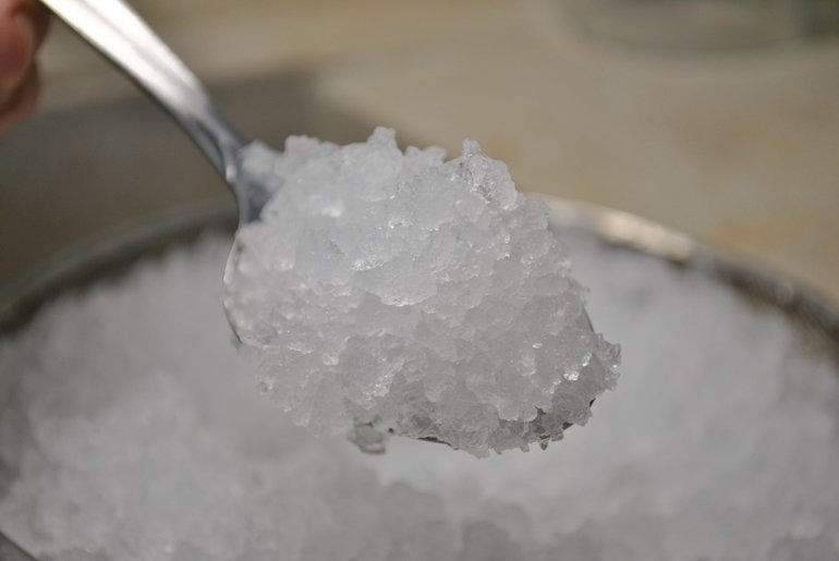 Reispilze