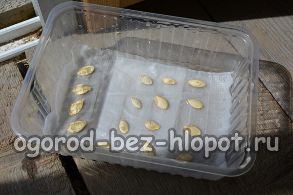 σπόροι