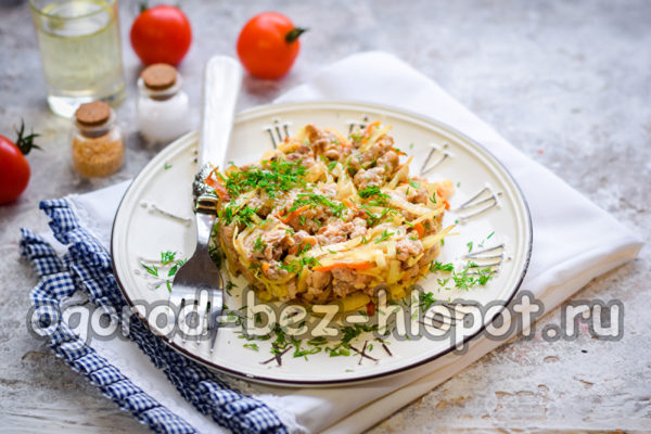 Chou mijoté avec de la viande hachée, un vrai délice