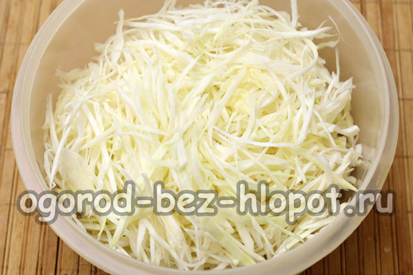 Den Kohl zerkleinern