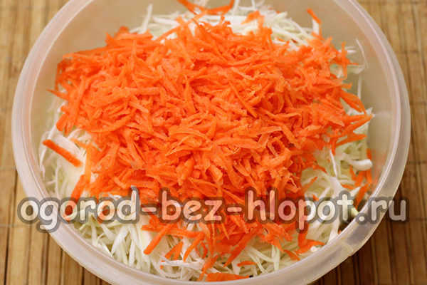geriebene Karotten hinzufügen