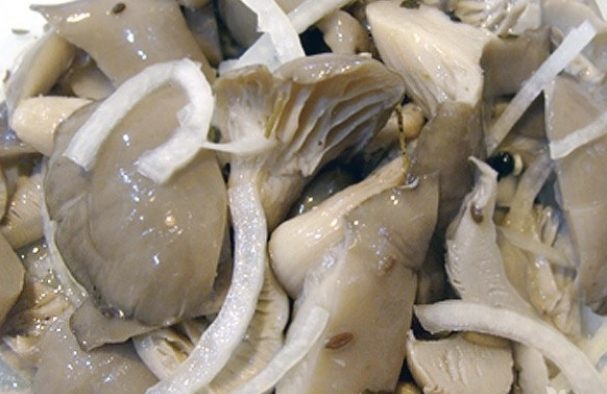 pleurotes marinées