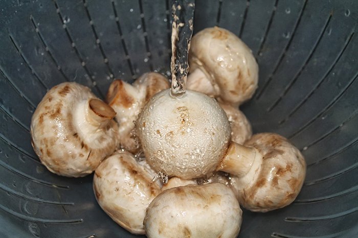 Pilze waschen