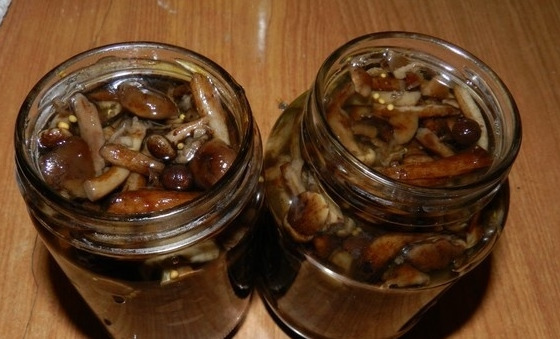 Мариновани медени гъби