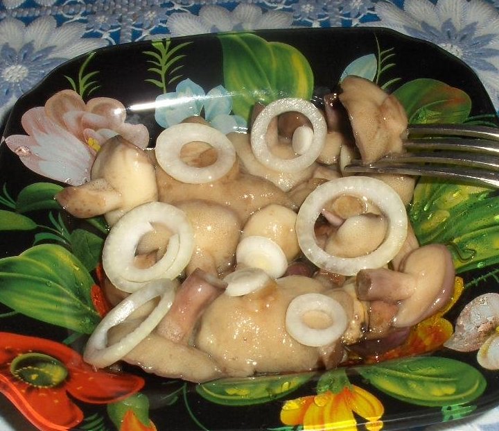 Champignons in gesalzener Butter