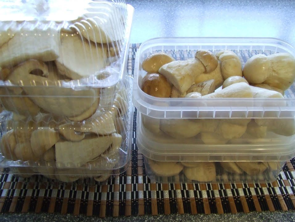 Weißer Champignon