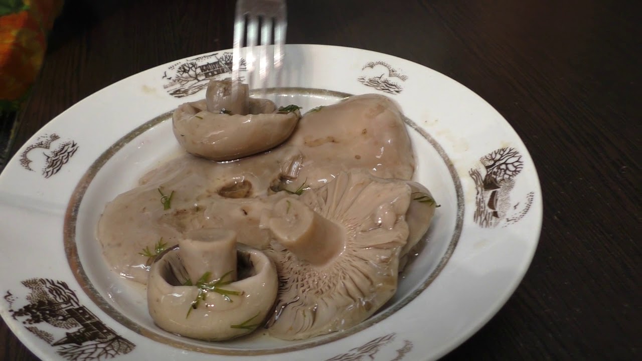 champignons russules bouillis
