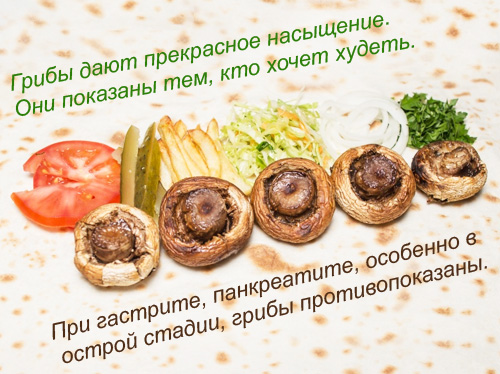 Merkmale des Pilzverzehrs