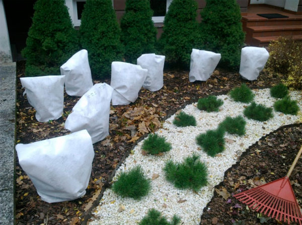jardinage en automne