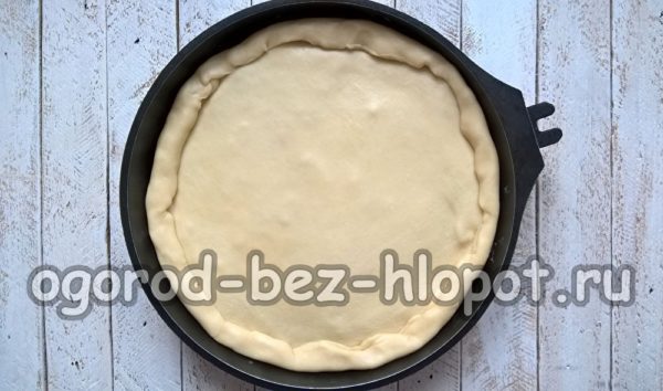 Mit der zweiten Teighälfte bedecken.
