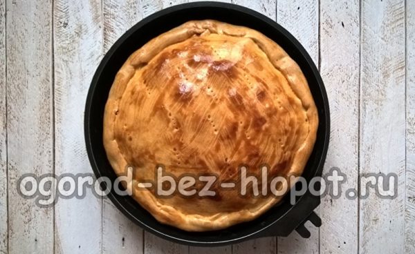 Backe einen Kuchen