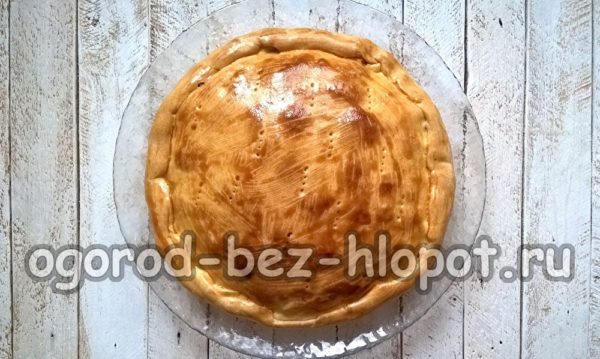 Fertiger Kohlkuchen