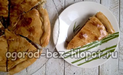 Kohl-Eier-Pastete