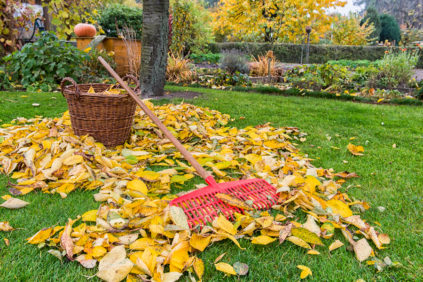 se préparer pour l'hiver