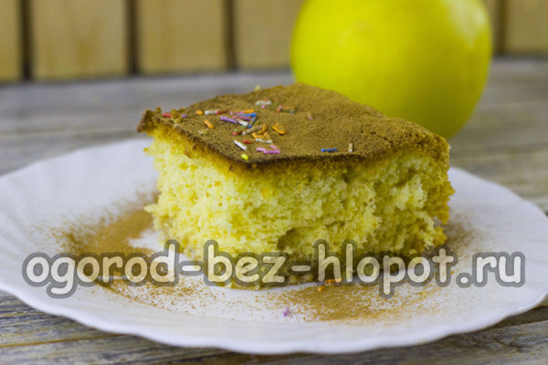 Der einfache Apfelkuchen ist fertig.