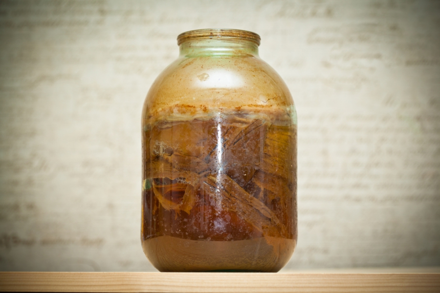Kombucha