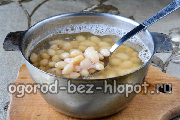 lessare i fagioli