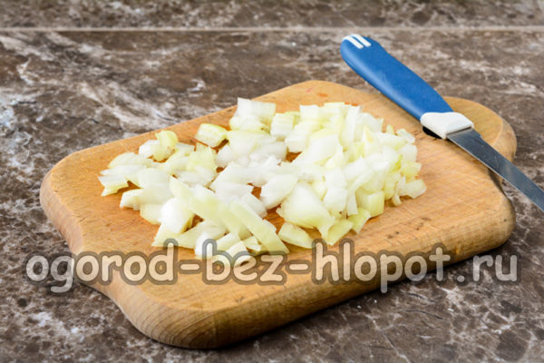 tritare la cipolla
