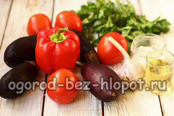 ingredienti