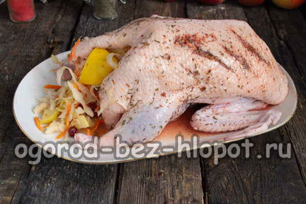 Rellena el pato con repollo y membrillo.