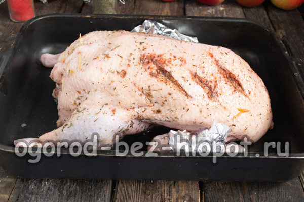 Coloca el pato en una bandeja para hornear